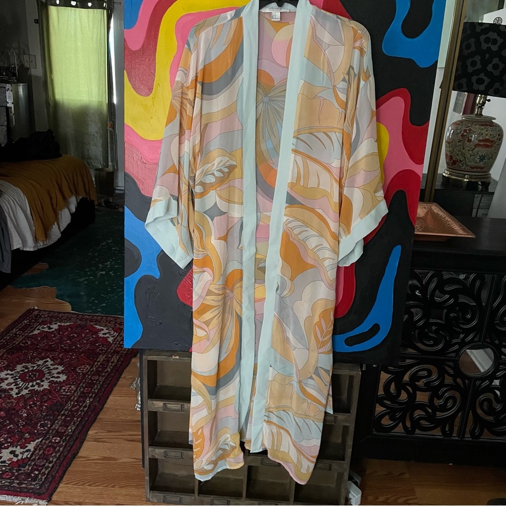 Sheer robe cover up